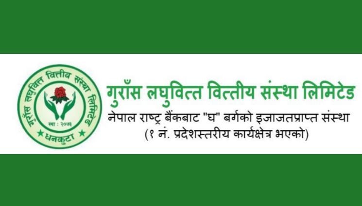 गुराँस लघुवित्तद्वारा १५ प्रतिशत लाभांश घोषणा, नगद र बोनश शेयर कति ?