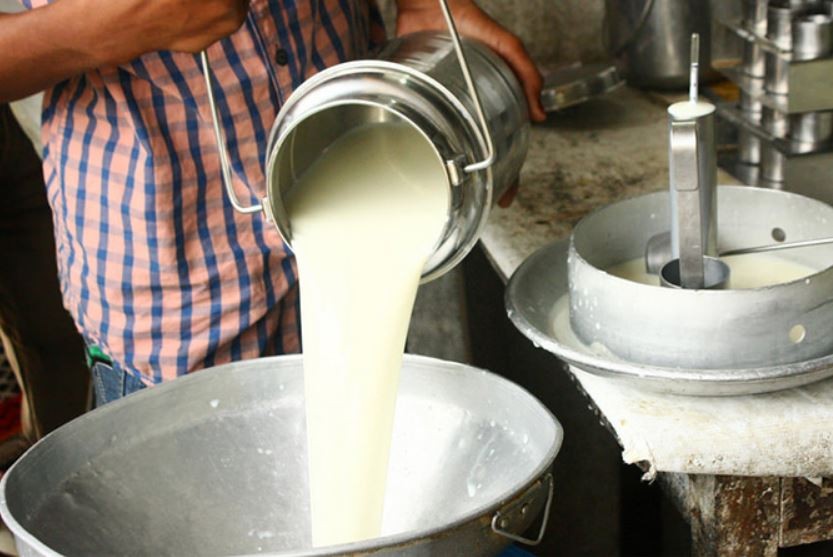 दुधमा आत्मनिर्भर काभ्रे : ७० प्रतिशत आपूर्ति अन्यत्र जिल्लामा