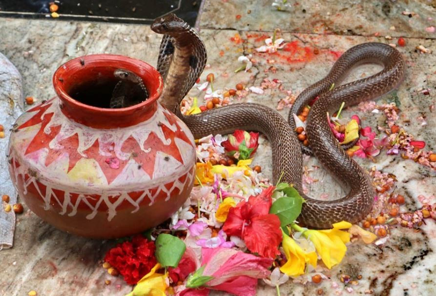 आज देशभर नाग पञ्चमी मनाइँदै