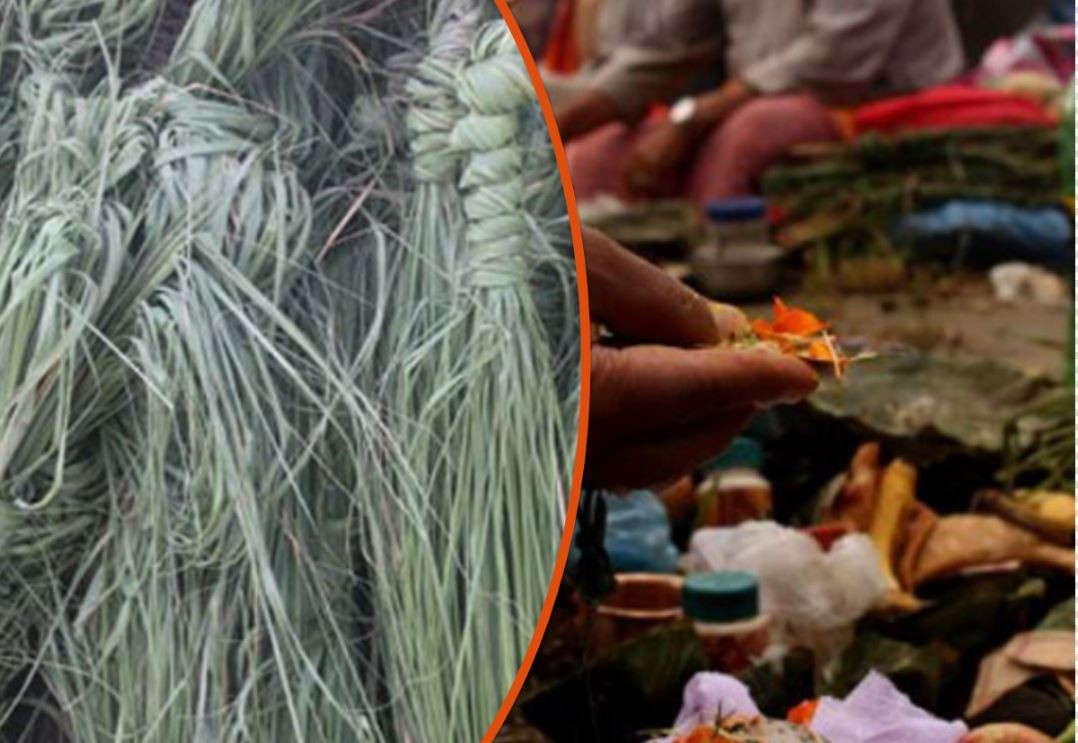 आज कुशे औँसी, घर–घरमा कुश भित्र्याइँदै, बुवाको मुख हेर्ने दिन र मोती जयन्ती पनि आजै