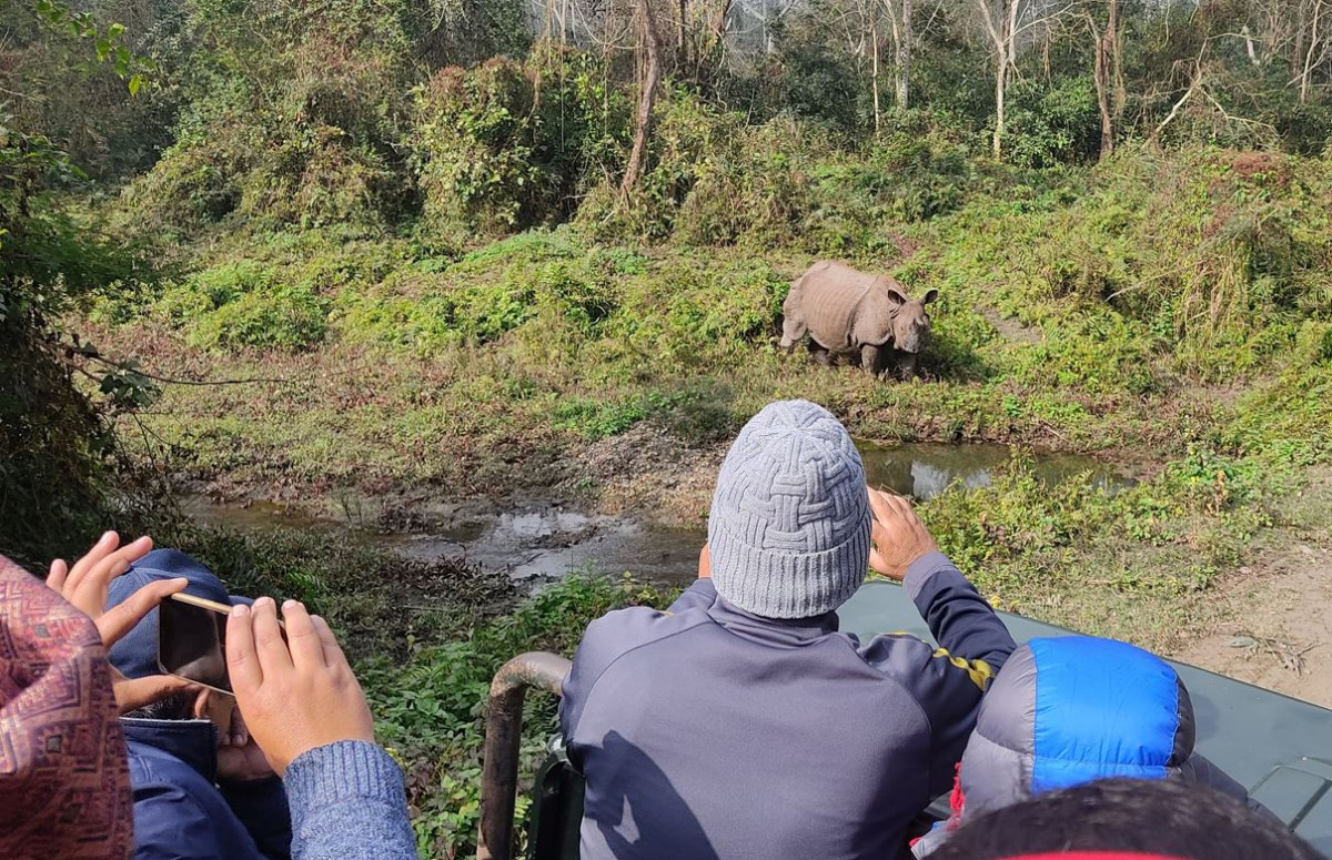 नयाँ वर्षको रौनक : सौराहामा आन्तरिक पर्यटकको चहलपहल बढ्यो