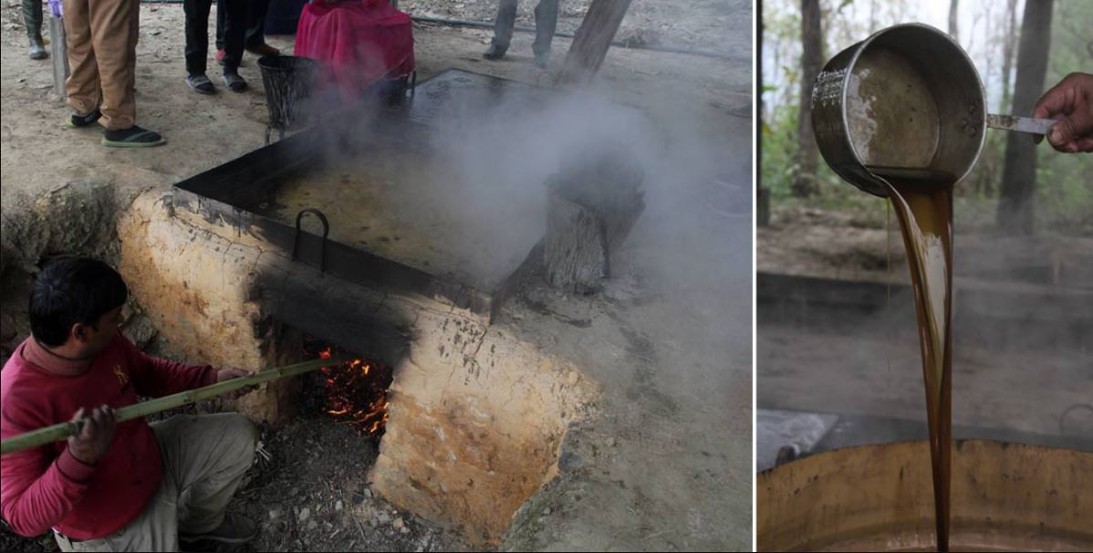 ढोडबेँसी मालेपाटनको खुदो : वार्षिक ७० लाखदेखि एक करोडसम्मको कारोबार, मागअनुसार पुर्याउनै मुस्किल