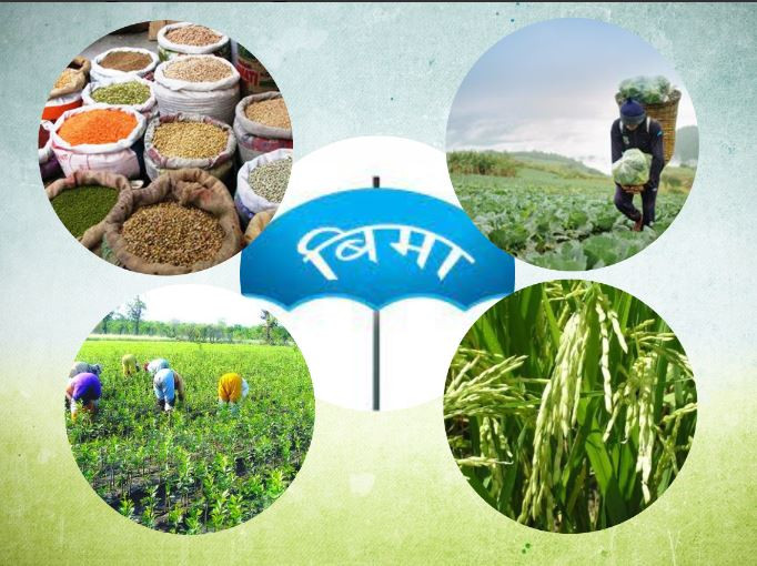 कृषि तथा पशुपक्षी बीमाको बजेट बढाउन सांसदको माग