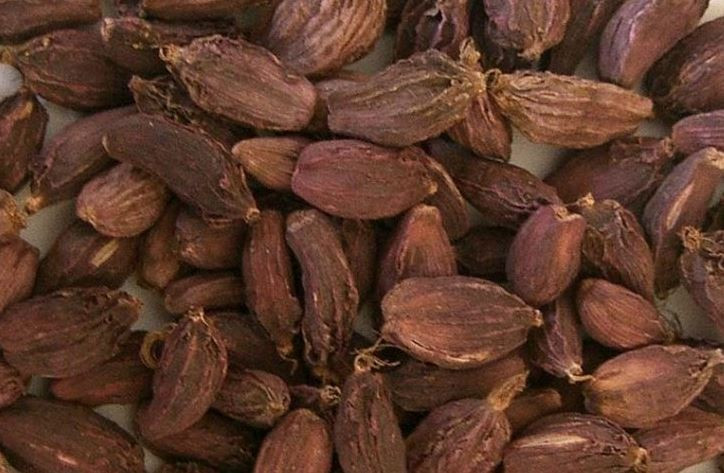 अलैँचीको मूल्य बढेपछि ताप्लेजुङका किसान उत्साहित, प्रति मन ६९ हजारमा कारोबार