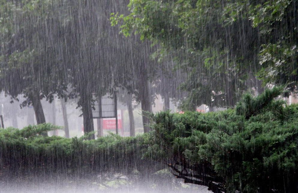 Heavy rain forecast in some places of Koshi, Madhes, Gandaki, Lumbini, Sudurpaschim