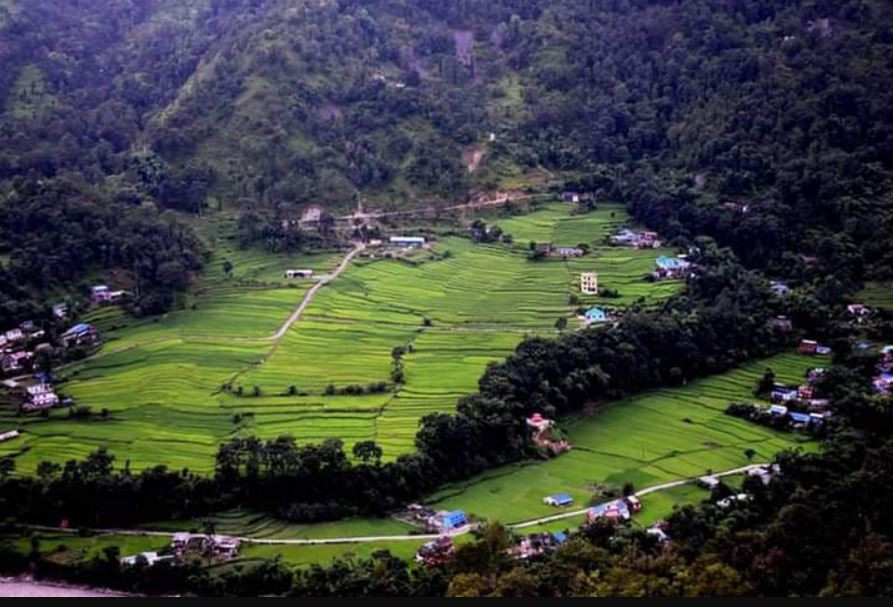 म्याग्दीबाट रैथाने बाली लोप हुँदै, कोदोको परिकार खाने परम्परा कम हुँदै