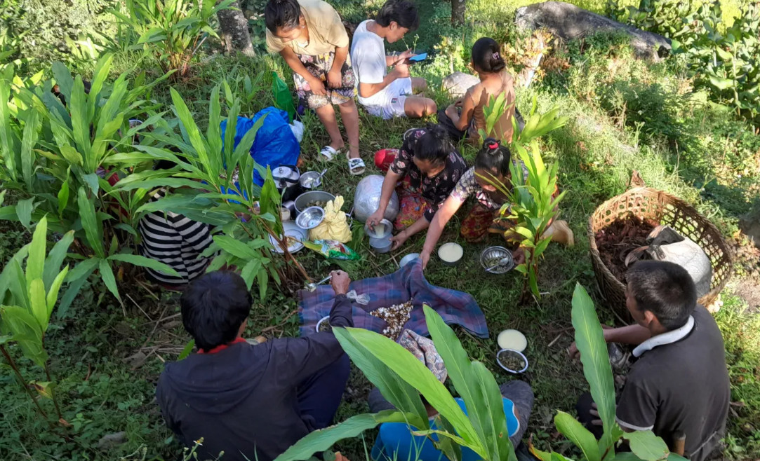 अलैँची टिप्न किसानलाई चटारो, बगानमै मनाए दसैँ, भन्छन– अलैँची टिप्ने मजदुर पाउनै गाह्रो्
