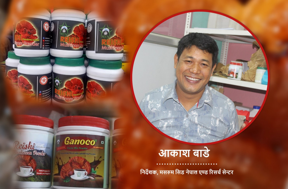 किन खाने रातो च्याउ ? यसको नियमित प्रयोग गर्दा जटिल रोगहरूबाट बच्न सकिन्छ !