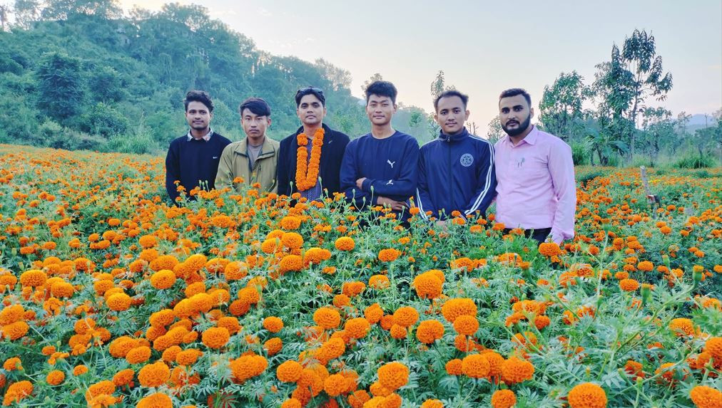 पढ्दै कमाउँदै : विद्यार्थी फूलखेतीमा रमाउँदै, भन्छन्– गाउँपालिकाले हामीलाई प्रोत्साहन गर्यो