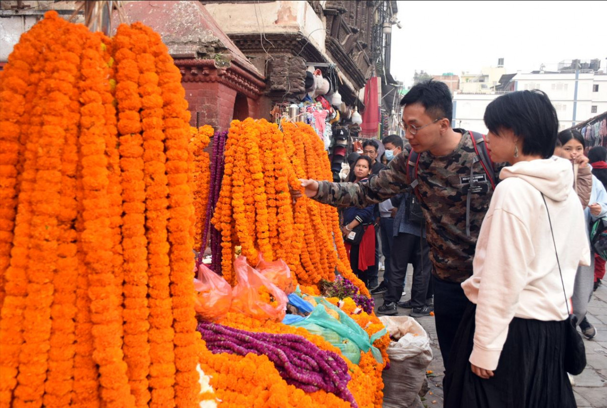 [आलेख ]भक्तपुर गुण्डुकाका फूल युरोप, अमेरिकासम्म