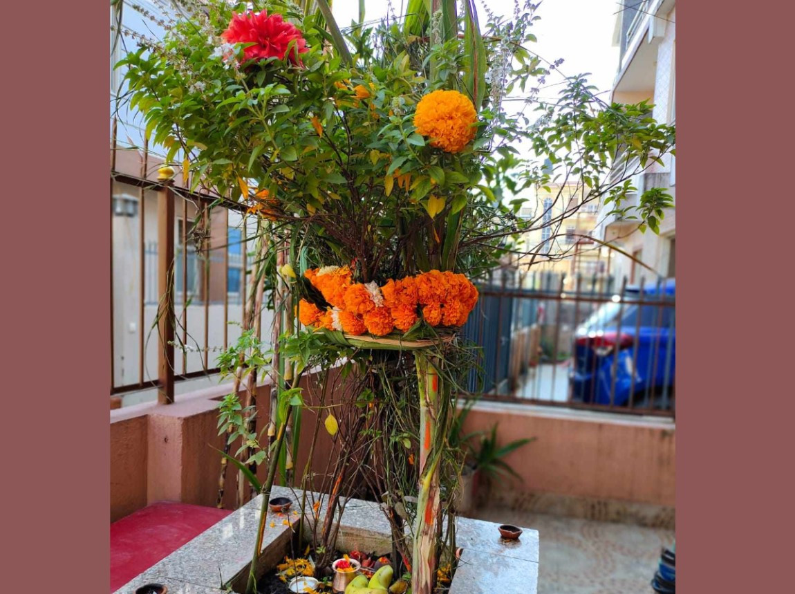 हरि बोधिनी एकादशी : आजकै दिन किन गरिन्छ तुलसी र दामोदरको विवाह ? यस्तो छ शास्त्रीय मान्यता