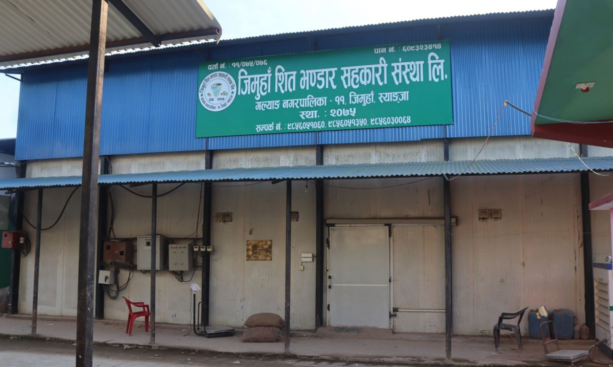 एउटै गाउँबाट साढे दुई करोडको बीउ आलु बिक्री