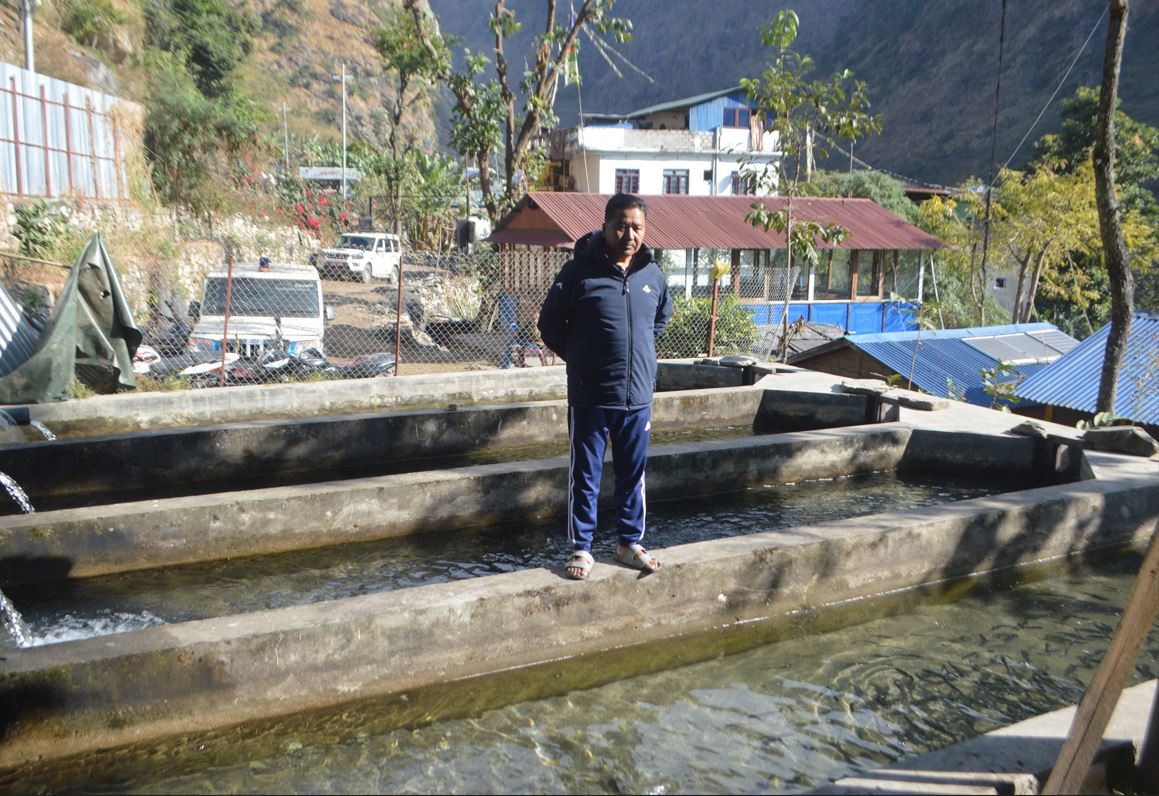 दैनिक तीन क्विन्टलसम्म माछा बेच्छन् गाउँपालिकाका अध्यक्ष गुरुङ,  ३५ हजारसम्म भुरा उत्पादन
