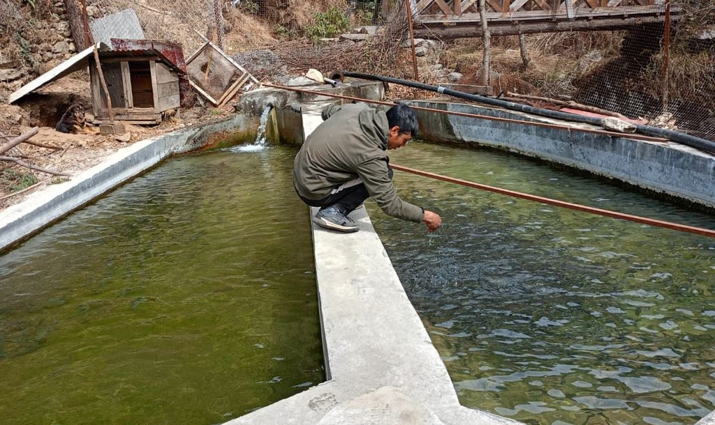 वैदेशिक रोजगारीबाट फर्किएर माछापालन, मासिक डेढ लाख आम्दानी