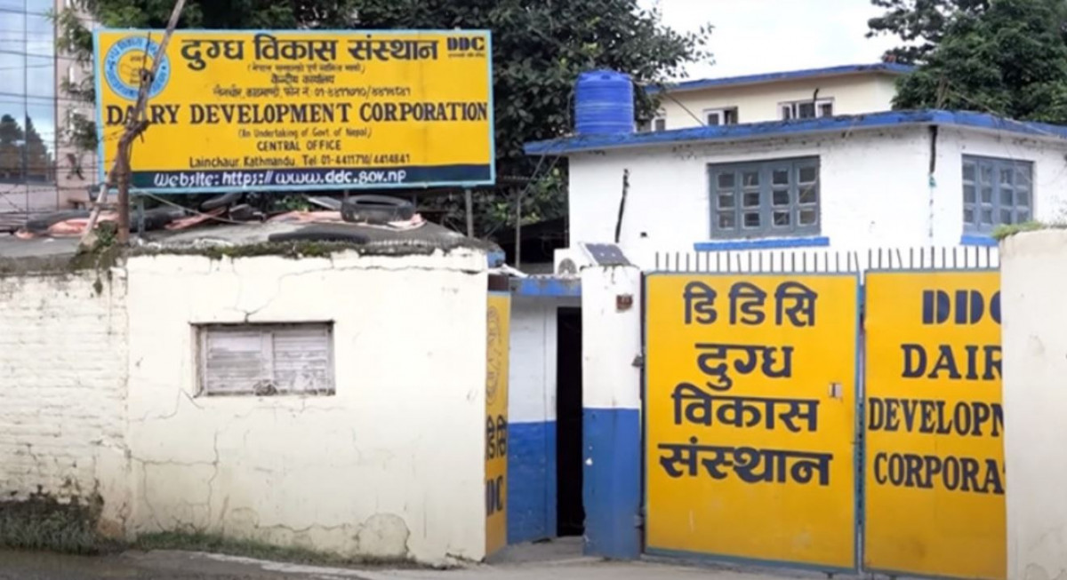 सिंहदरबारभित्र डिडिसीको सहुलियत बिक्री केन्द्र, मुख्यसचिवले भने - यहाँभन्दा मुलुकभर विस्तार गर्न आवश्यक छ