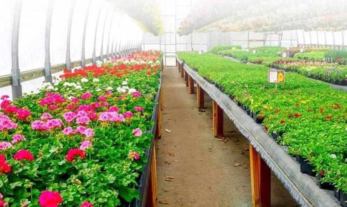 प्रथम नेशनल हर्टिकल्चर एक्स्पो चैत १६ गतेदेखि, एक करोडभन्दा बढीको कारोबार हुने अपेक्षा