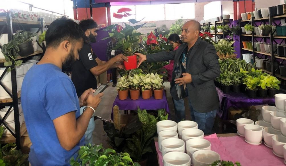 पुष्प व्यवसायमा भविष्य खोज्दै युवा, भन्छन्– मिहेनत गर्न सकेमा स्वदेशमा पनि राम्रो भविष्य छ