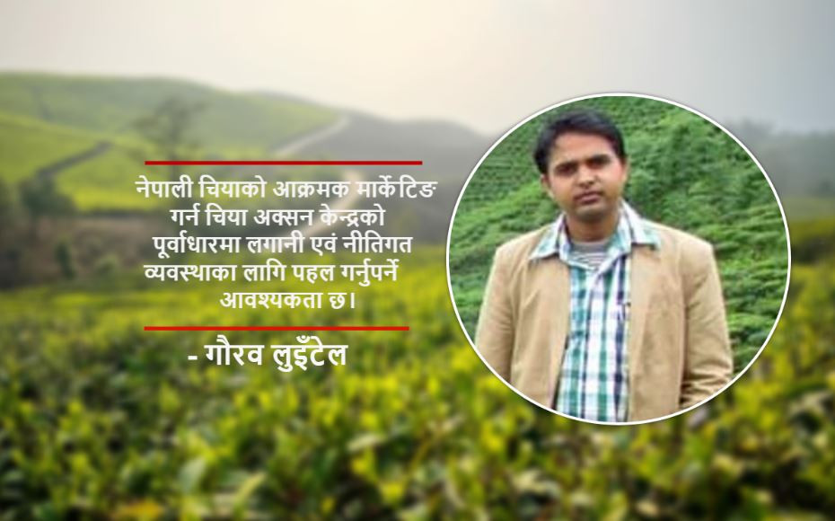 चियाको बजारलगायतका क्षेत्रगत समस्याहरूको सम्बोधन कसरी होला ?