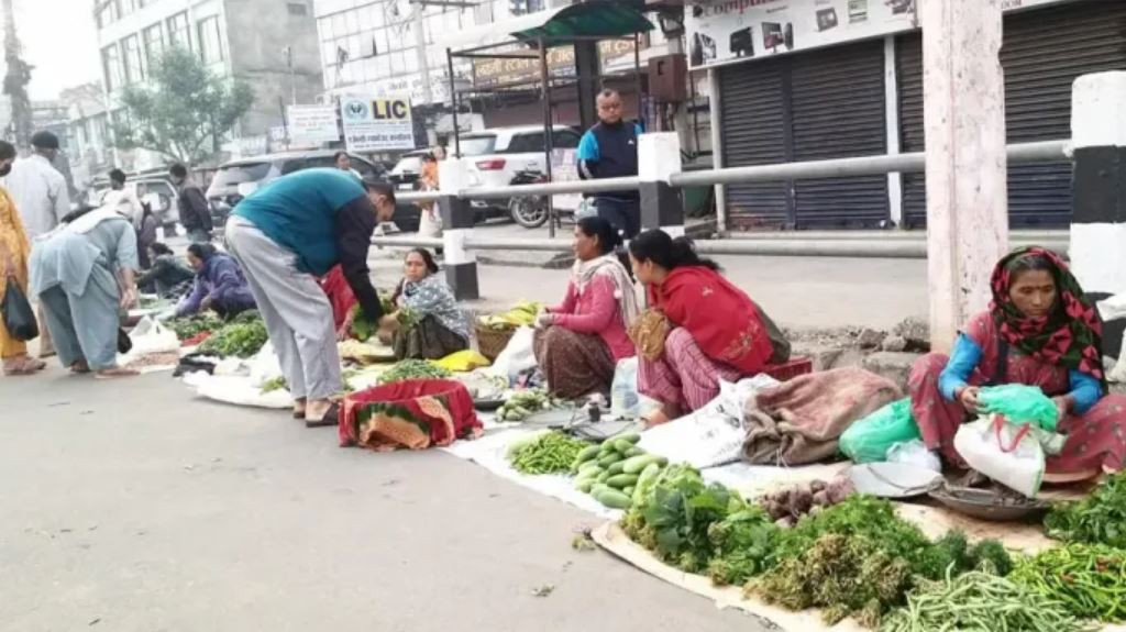 अर्गानिक तरकारी खेतीमा रमाउँदै थारु महिला, मासिक २० हजारसम्म आम्दानी