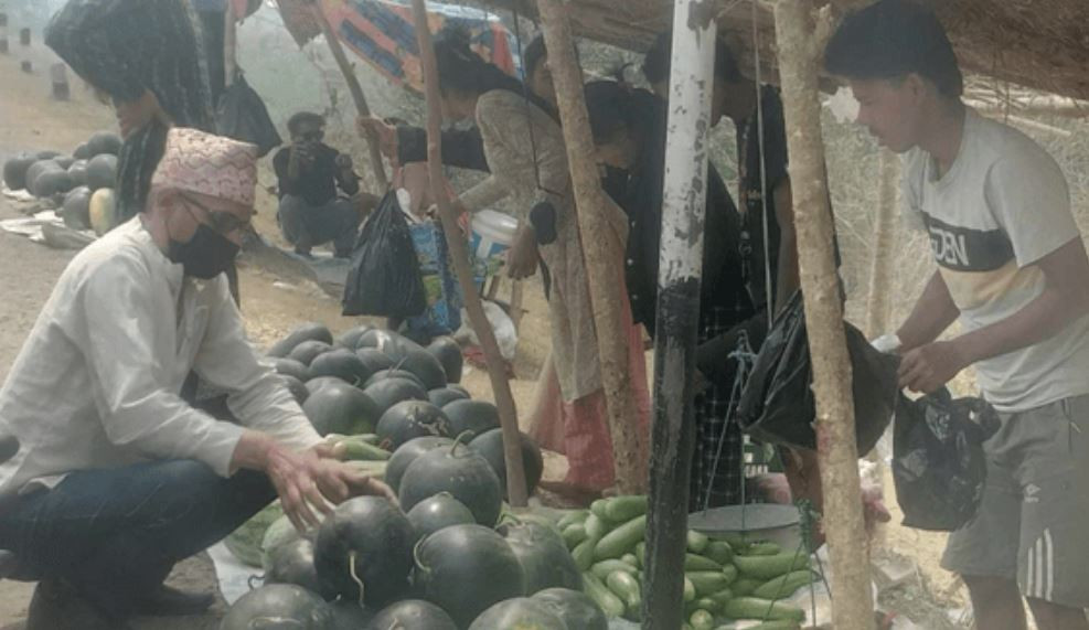 बगरमा तरभुजा खेती, राजमार्ग छेउमा बिक्री गरेर जीविकोपार्जन