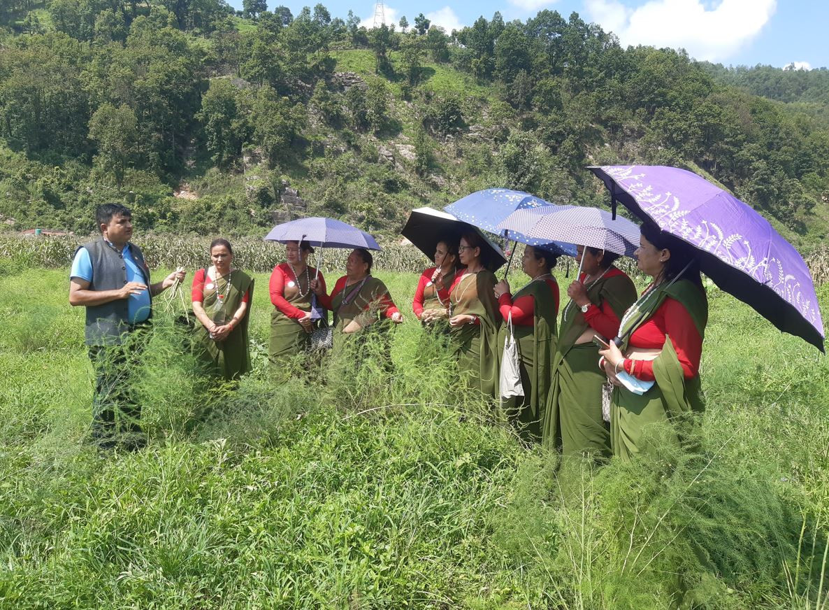 एक्ले फाँटमा कविराजको व्यवसाय, बन्यो अरूका लागि पाठशाला