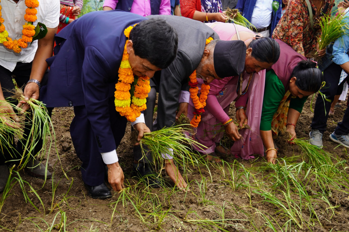खोकनामा मनाइयो चौथो कोदो दिवस, ‘आयातले आन्तरिक उत्पादन विस्थापन’