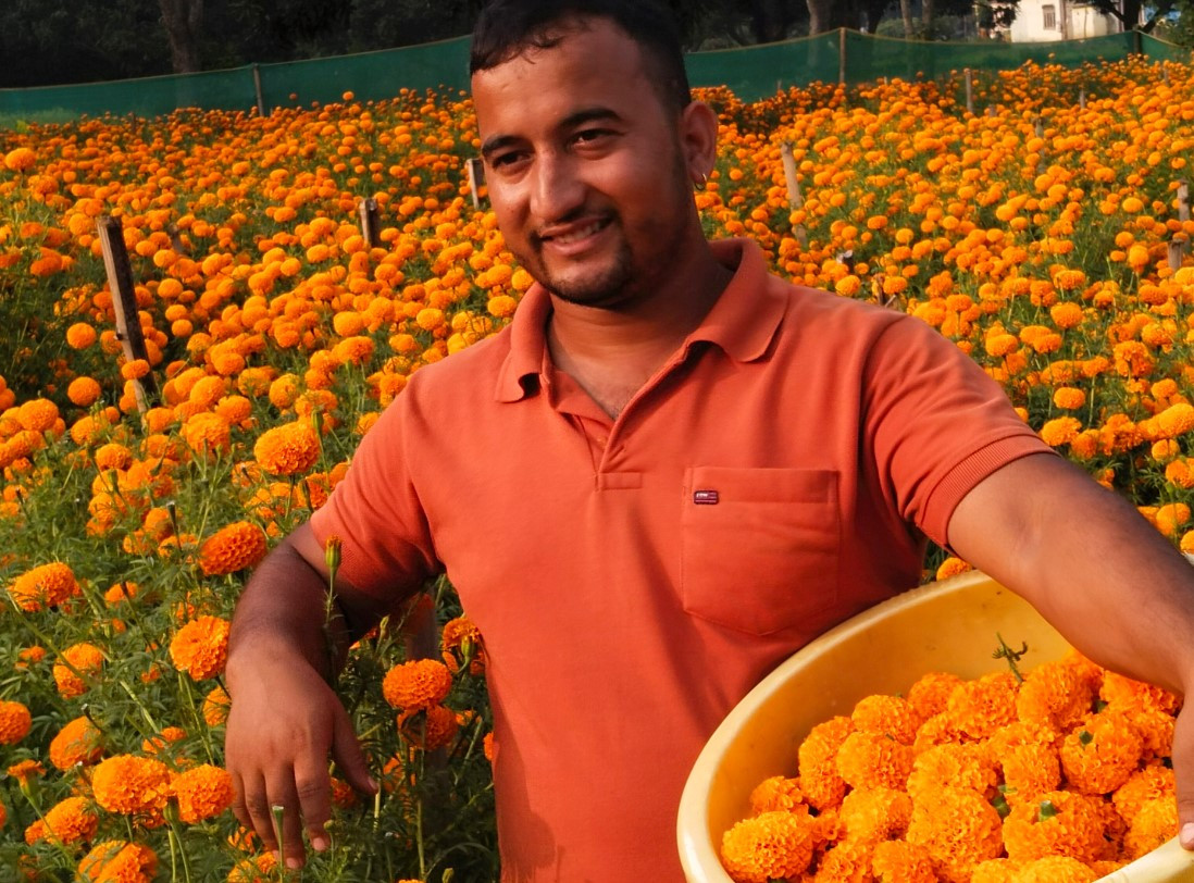 २४ वर्षीय युवाको लोभलाग्दो व्यावसायिक फूलखेती, १० लाखसम्म आम्दानी हुने अनुमान