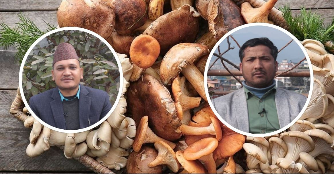 पुस १५ गते  छैटौं  ‘राष्ट्रिय च्याउ दिवस’ तथा महोत्सवमा किन जाने ?