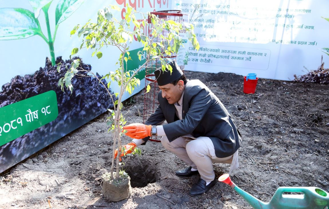 ग्लोबल आइएमई बैंकले बार्षिकोत्सवको अवसरमा १८ हजार बृक्षारोपण गर्ने, सिइओ रेग्मीले कार्यालय परिसरबाटै गरे शुभारम्भ