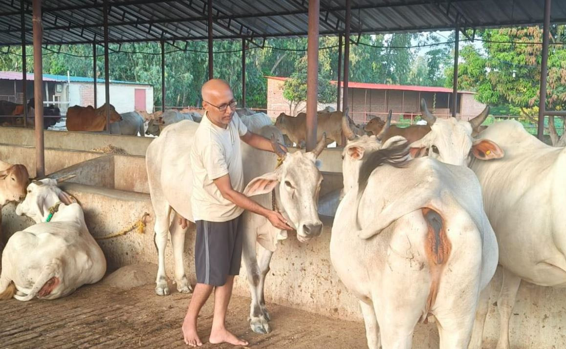 एउटा सिएको गोठालो बन्ने सपना, जहाँ ‘देशी गाई’को दुध बेचिँदैन
